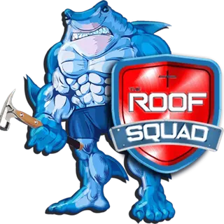 The Roof Squad