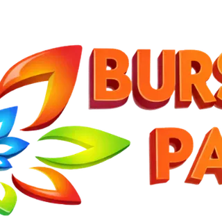Burst of Colors Painting, LLC