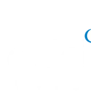 Aladdin Services LLC