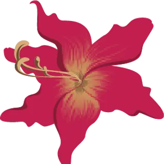 Belladonna Painting