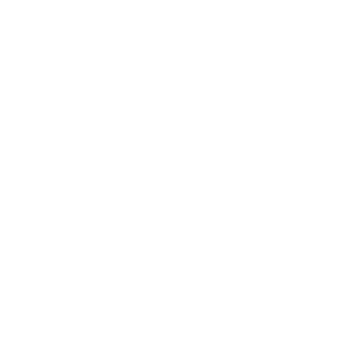 Eagle Painting