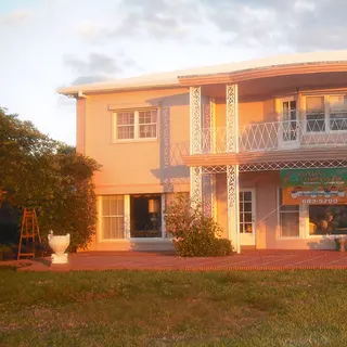 Apex Painting Co Inc