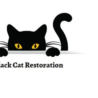Black Cat Restoration
