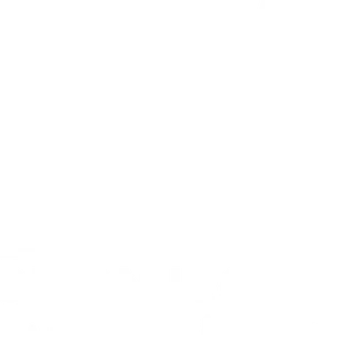 Team VP Construction