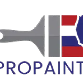 Pro Painter USA