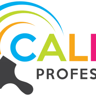California Professional Painting