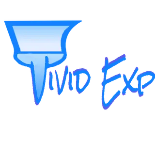 Vivid Expressions Painting