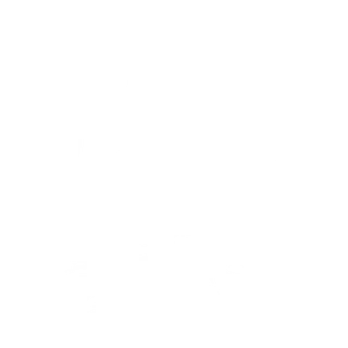 Riser LLC