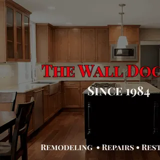 The Wall Doctor