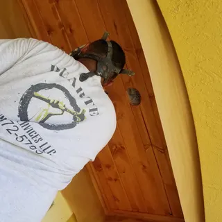DUARTE HANDYMAN SERVICES LLC