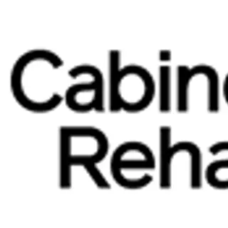 Cabinet Rehab