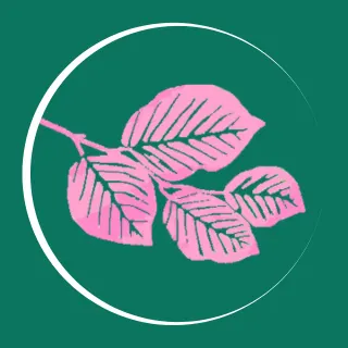 Beech Tree Studio LLC