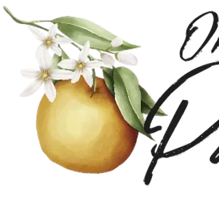 Orange Blossom Painting LLC