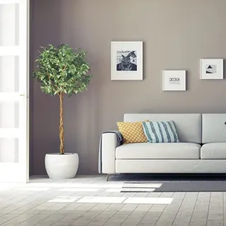 JB Painters Manhattan