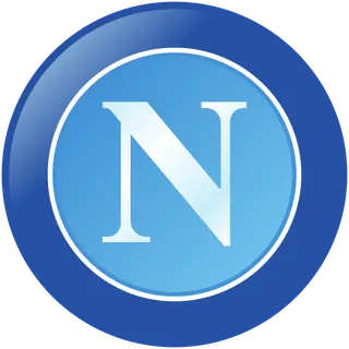 Napoli Painting Contractor Inc