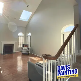 Davis Painting