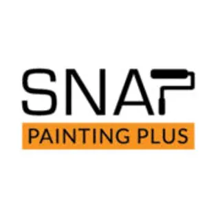Snap Painting Plus