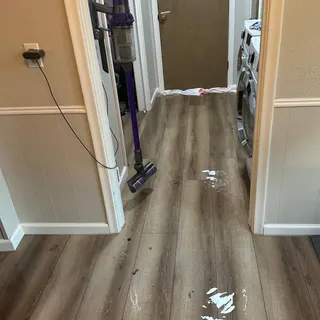 Intensa Dry Mold & Water Restoration