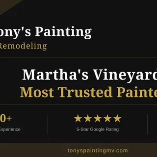 Tony's Painting MV