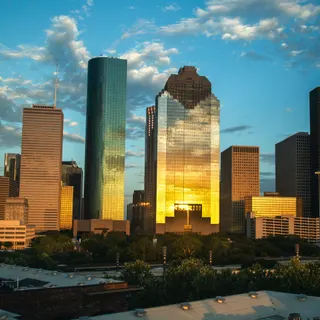Mallard Commercial Painting