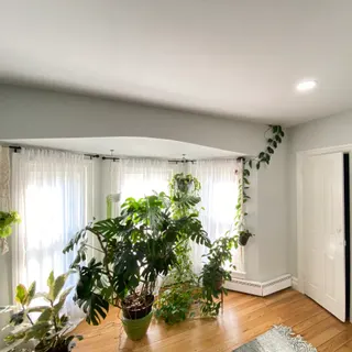 Ziegler Painting & Drywall Repairs
