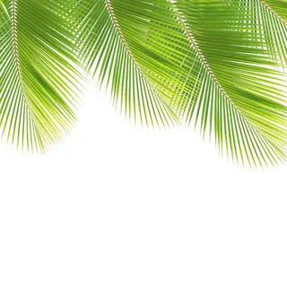 Bajan Outdoor Living