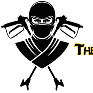 The Paint Ninja Co.