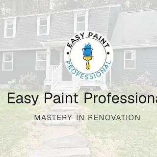 Easy Paint Professional