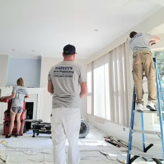 Harvey's Pro Painting