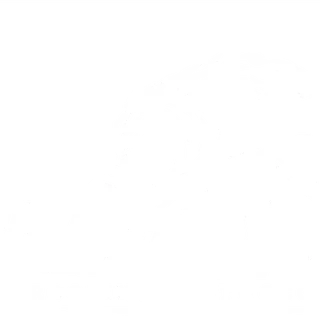 Gilbert & Sons Roofing and Stucco INC