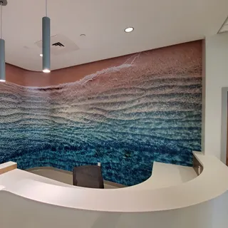 David Koon Inc