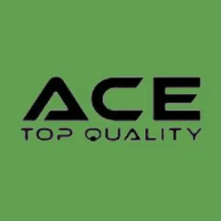 Ace Top Quality Painting